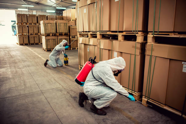 Best Affordable Pest Control Services  in Maypearl, TX
