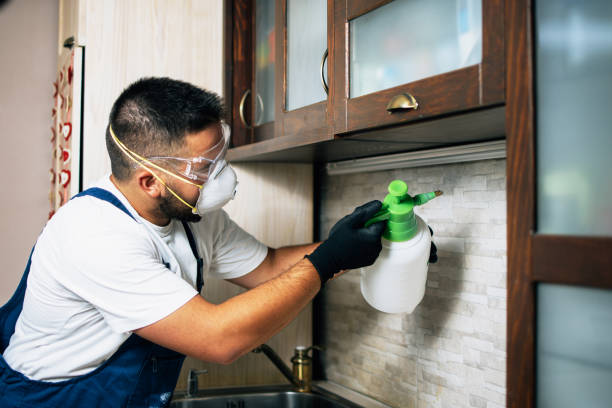 Best Pest Control for Homes  in Maypearl, TX